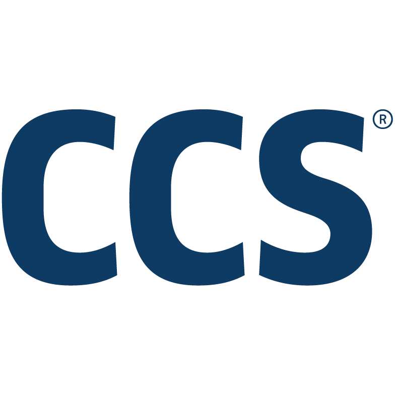 CSS Logo